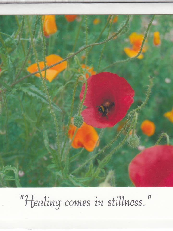 "Healing in stillness" Channeled Angel Message Photo Card for wholesale by The Marble Faun Gifts