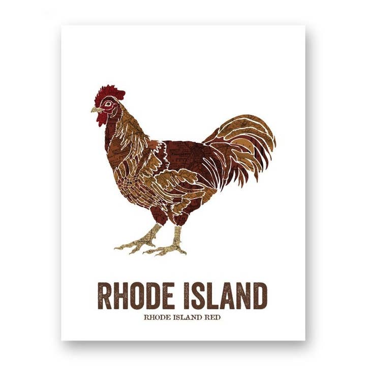 Rhode Island State Bird, Map Prints - Rhode Island Red for wholesale by Wooden Pencil Company
