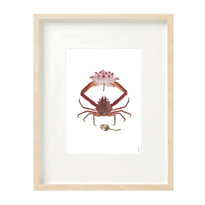 Impression (A4) collage de la collection Naturalis - Bella pour la vente par Lylies