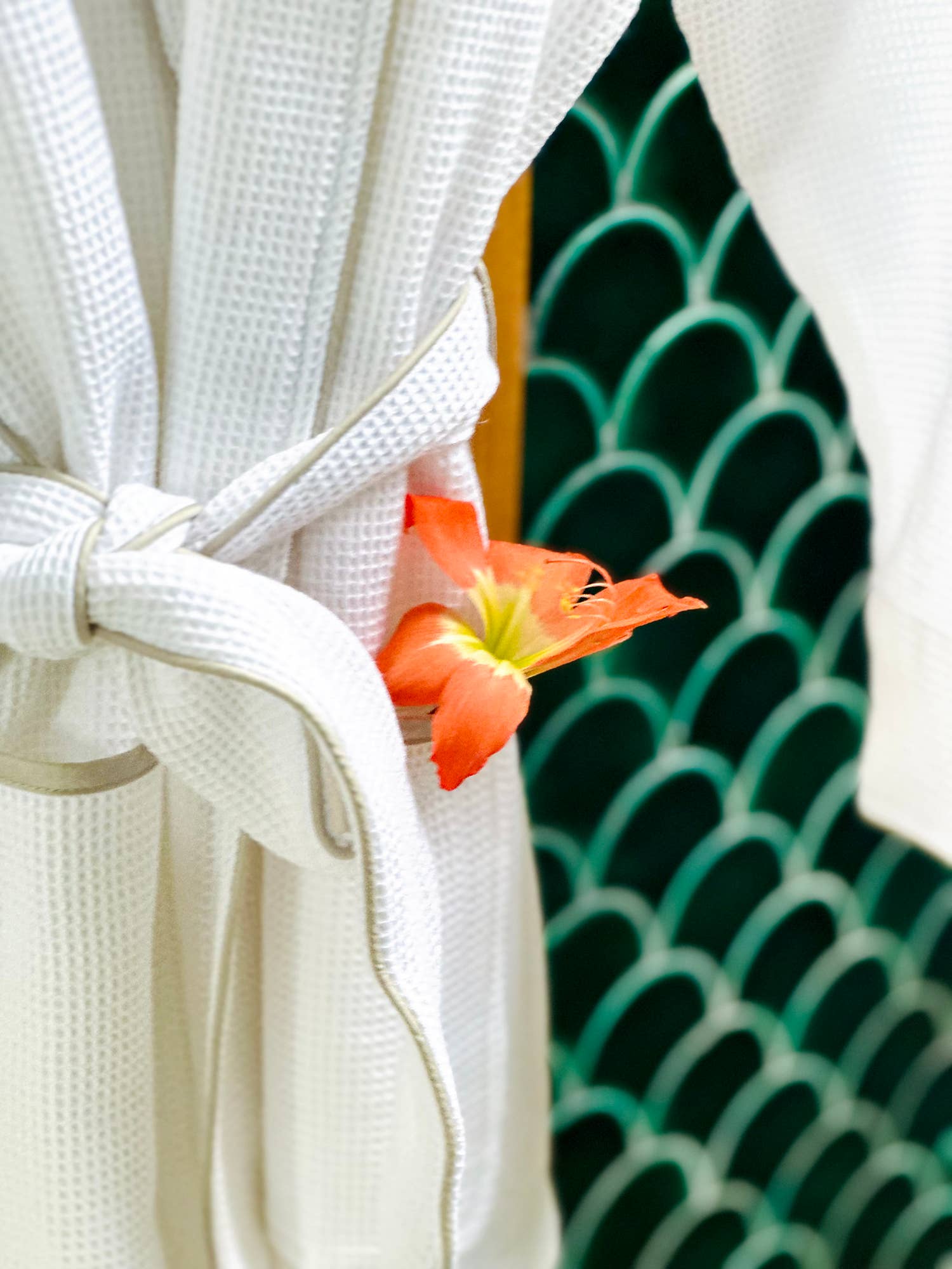 Viverano Organics - Wholesale Robe - Women's - Women's Organic Waffle Weave Bath & Spa Robe (3 Colors)9