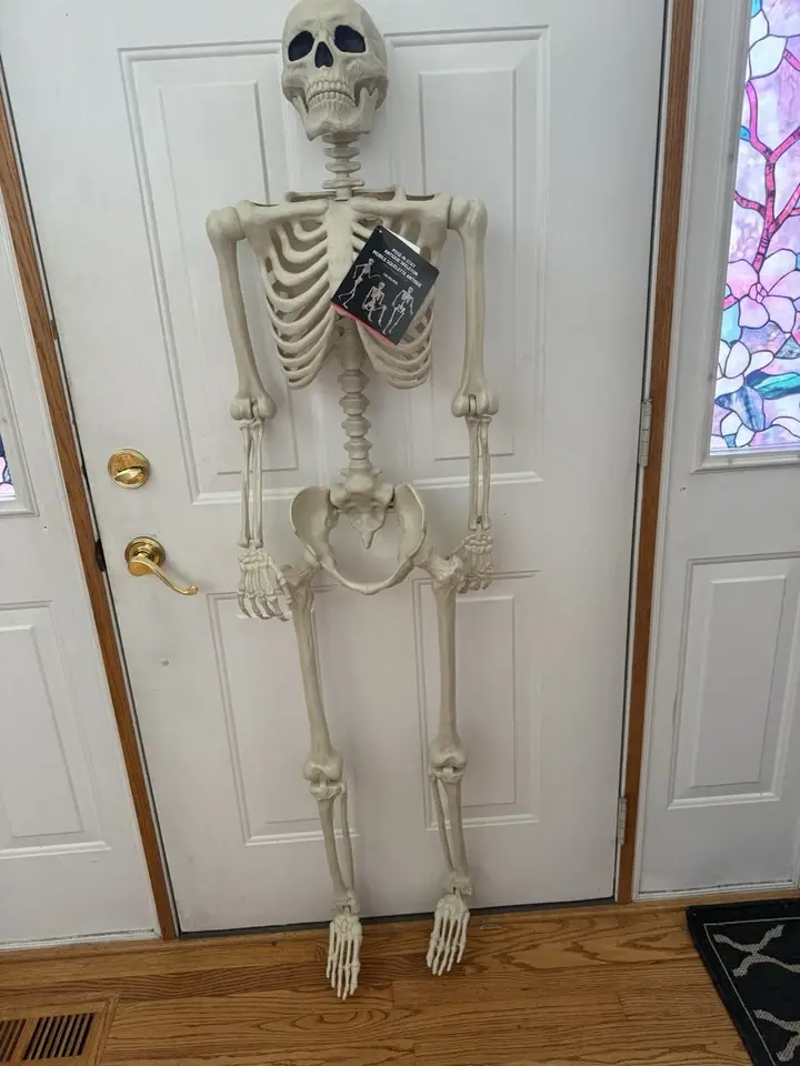 Innovarix - Wholesale Nativity Scene Decor - Life Size Skeleton - 5 Ft (moveable joints) pick a pose4