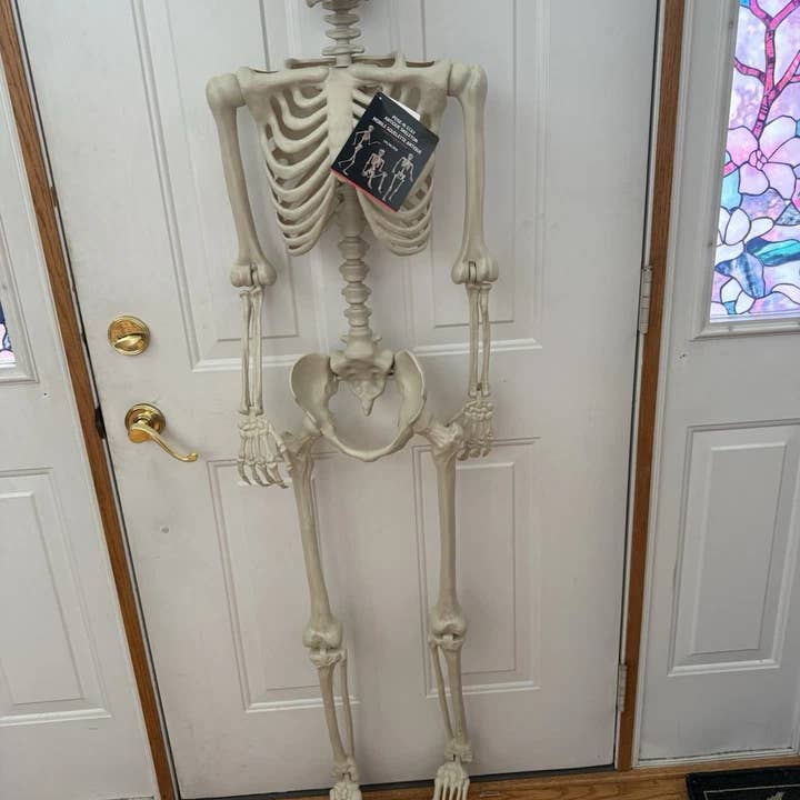 Innovarix - Wholesale Nativity Scene Decor - Life Size Skeleton - 5 Ft (moveable joints) pick a pose4