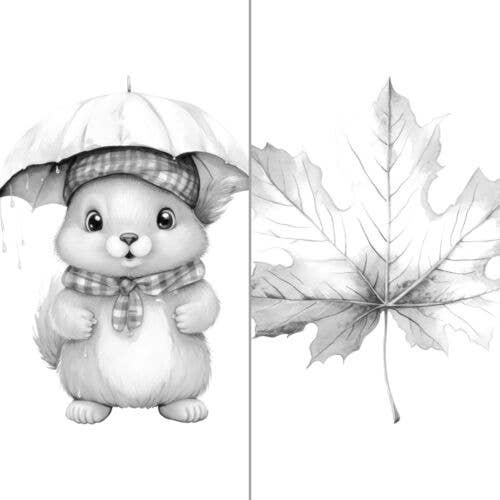 ColorFall Editions - Vendita all'ingrosso Libro da colorare e attività - Adulti - Libro da colorare a tema autunnale rilassante per adulti7