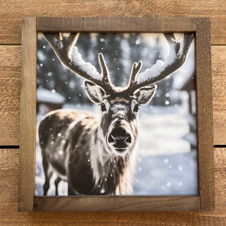 Rena Neve por atacado de B & C Signs