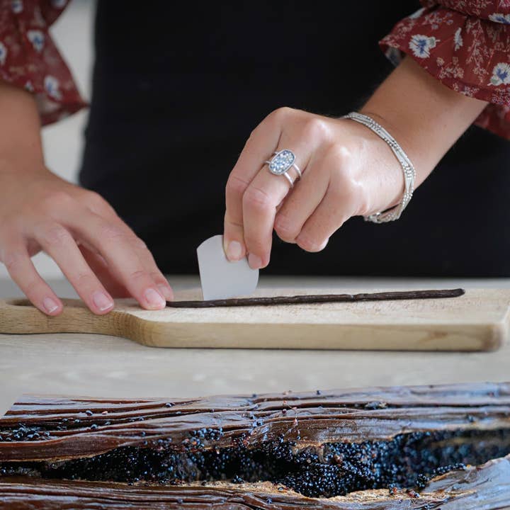 EPCIE® - Wholesale Kitchen Tool/Gadget - Dégousseur® EPCIE® - The Essential for Splitting & Seeding6