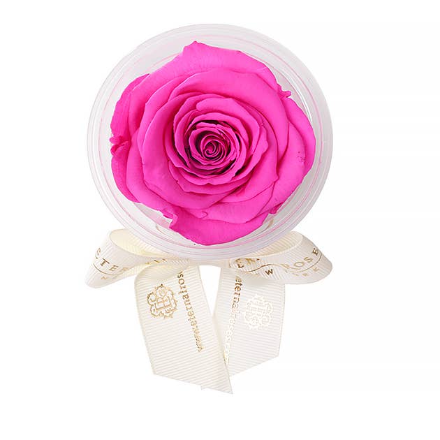 Eternal Roses® - Wholesale Party Favor - Eternal Rose Party Favors46