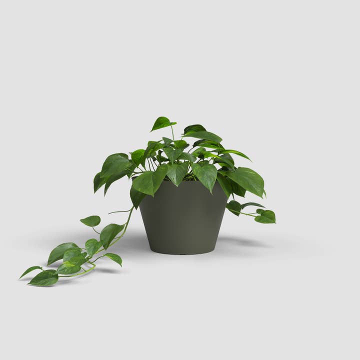ARTEVASI, SA - Wholesale Plant Pot - Plastic flower bowl with straight, simple lines7