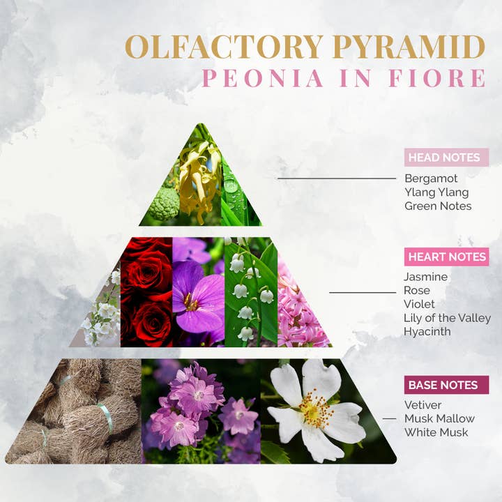 Logevy Firenze 1965 - Vendita all'ingrosso Spray per tessuti e ambienti - Fragranza per Ambienti Peonia In Fiore2