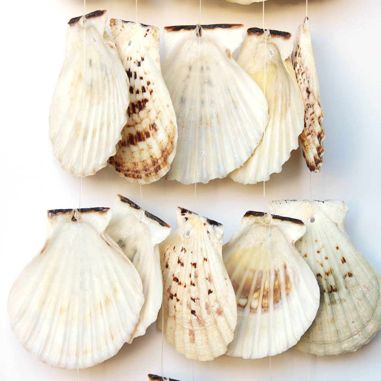 CB Home Collection - Wholesale Wind Chime - 20" Scallop Shell Wind Chime1