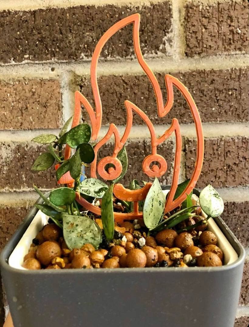 CMbeautifuldesigns - Vendita all'ingrosso Pergole - Collezione Graticci Anime per Piante8