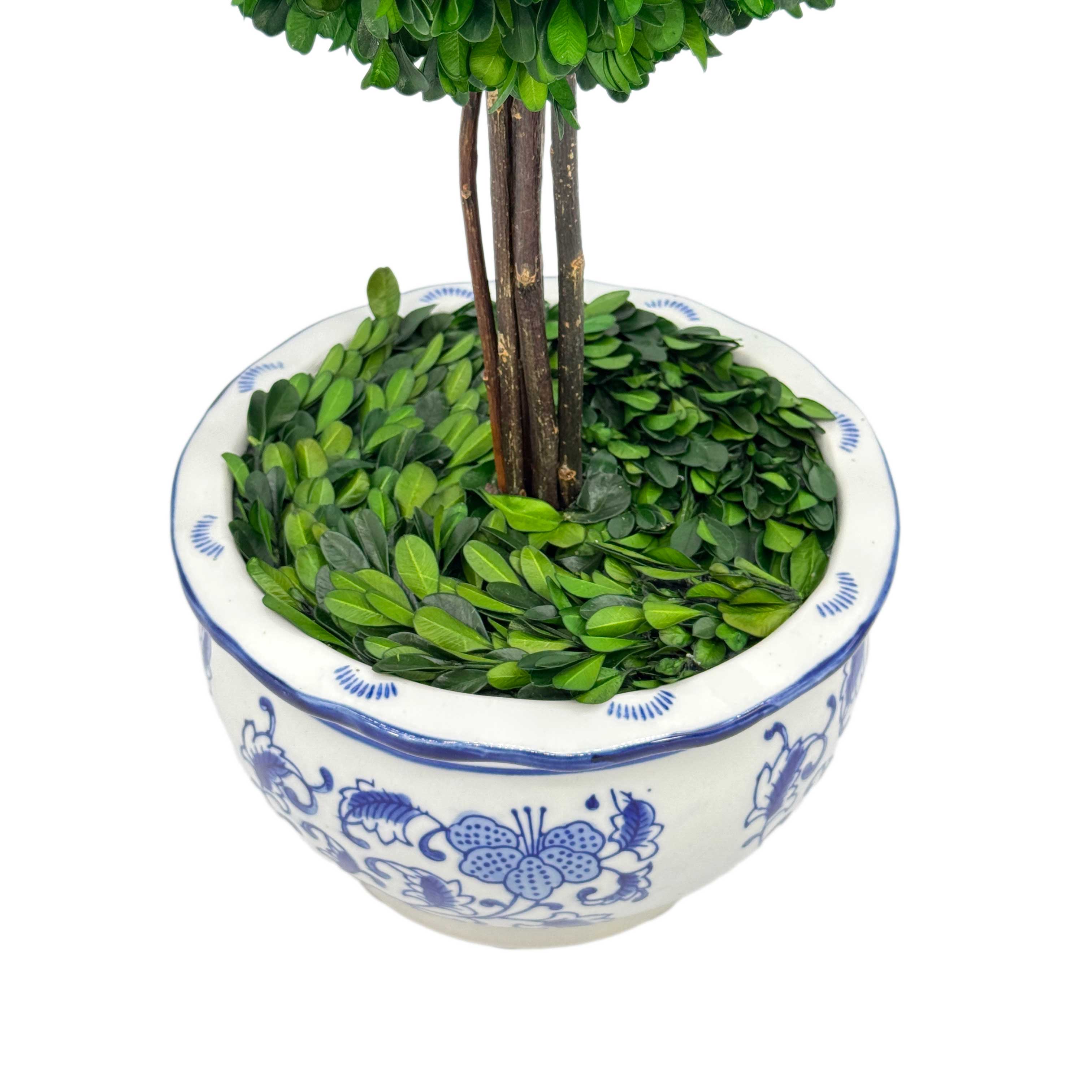 Galt International Company - Vente Plantes artificielles - Arbre topiaire en boule de buis dans un pot rond en céramique bleu et blanc9