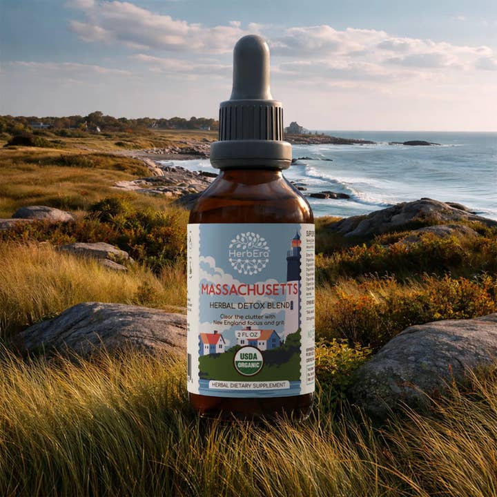 Mistura Detox de Massachusetts por atacado de HerbEra