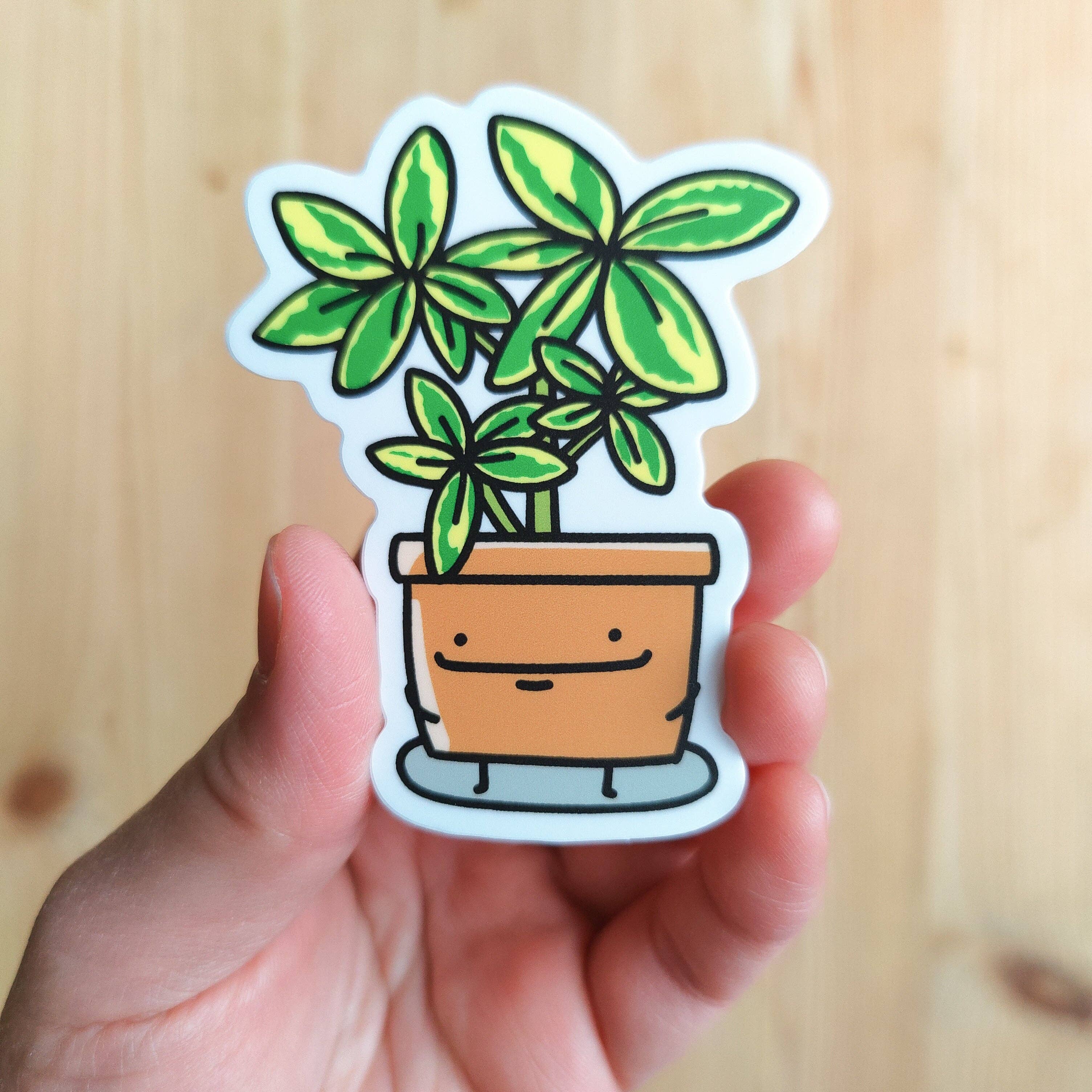 Home by Faith - Wholesale Sticker - Schefflera Vinyl Sticker0