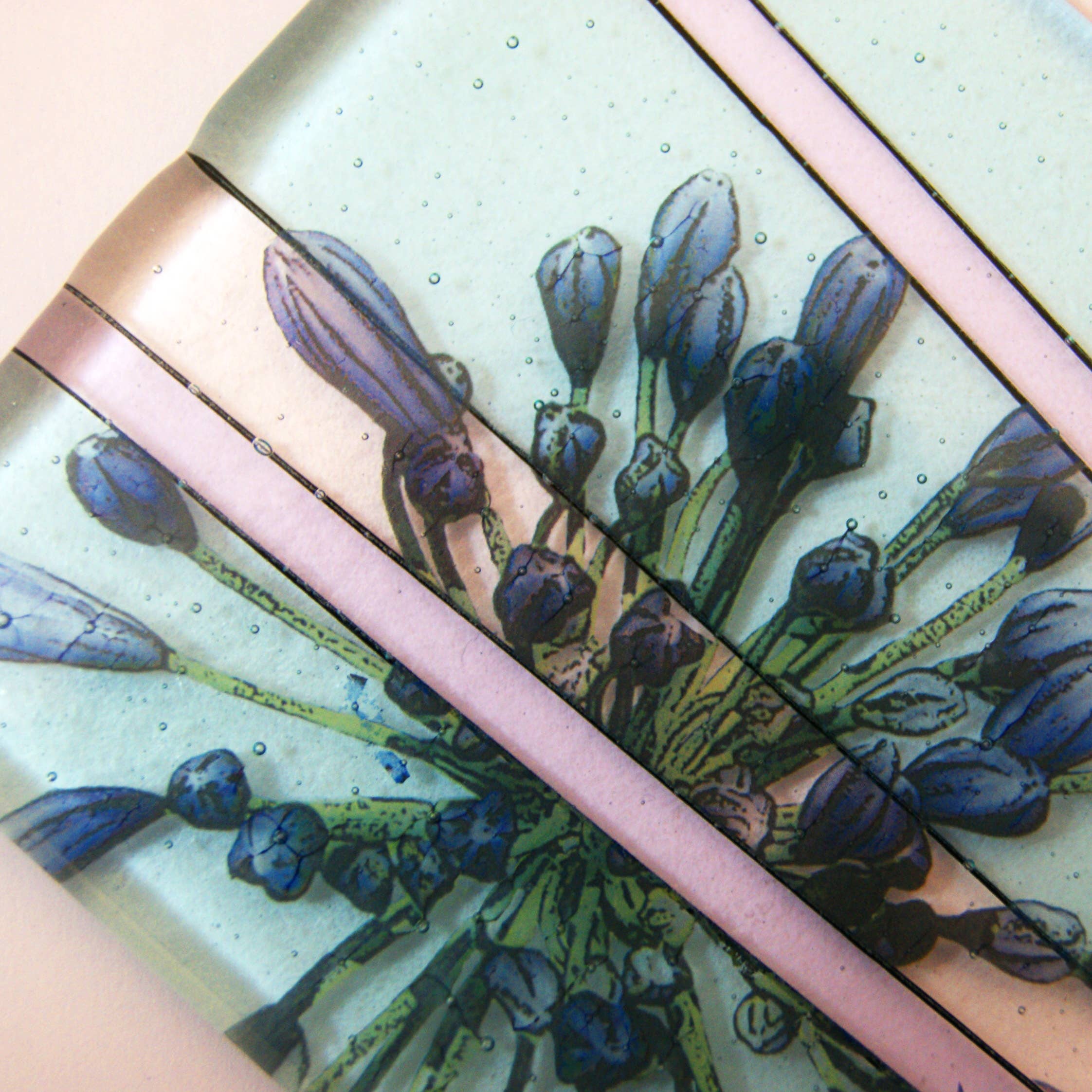 NAOMI SINGER GLASS DESIGN – wholesale Coasters – Fused Glass Coaster - Agapanthus Collection4