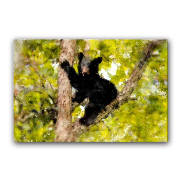 G.O.A.T House of Creative - Wholesale Art print - Art Canvases, Great Smoky Mountains, The Climber1