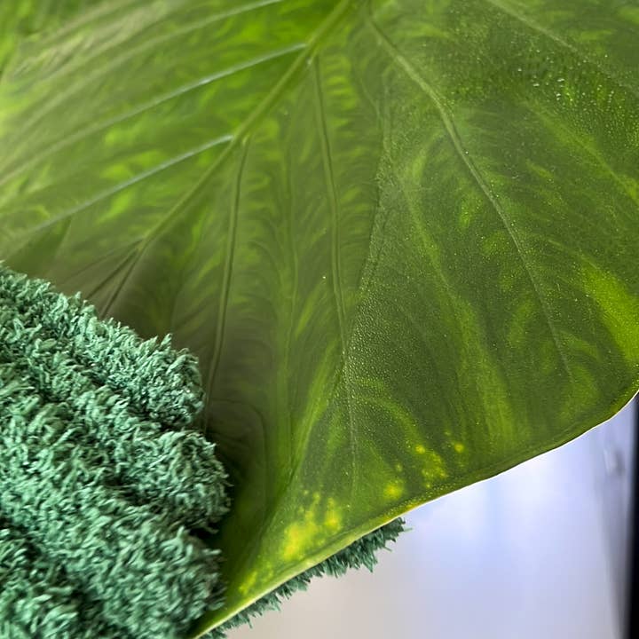 Botanopia - gifts , decor and cards for plant lovers - Wholesale Garden Gloves - Leaf Love Gloves - Microfiber dusting gloves for plants