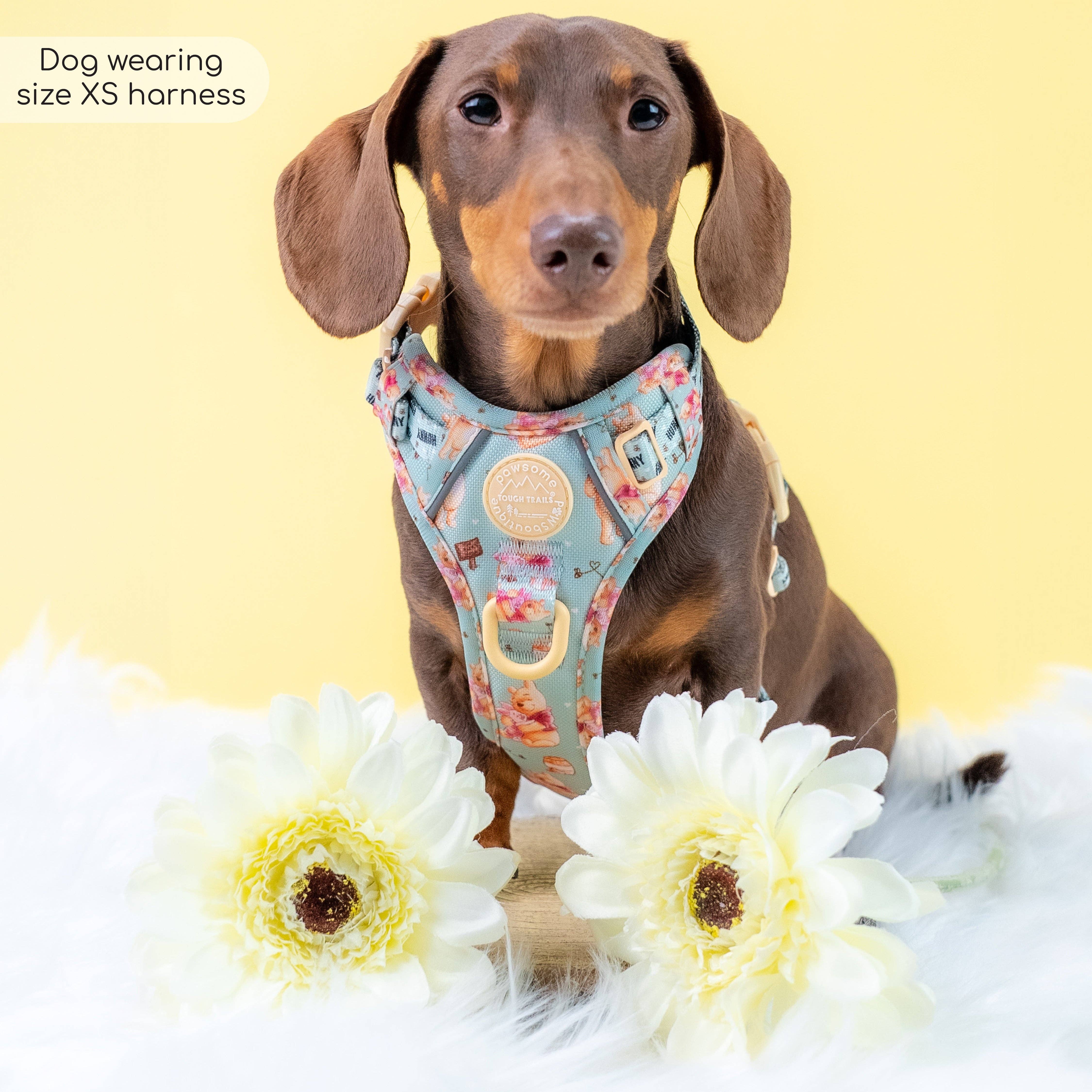 Pawsome Paws – Großhandel Haustiergeschirr – Hund – Disney© Tough Trails™ Geschirr – Winnie Puuh24