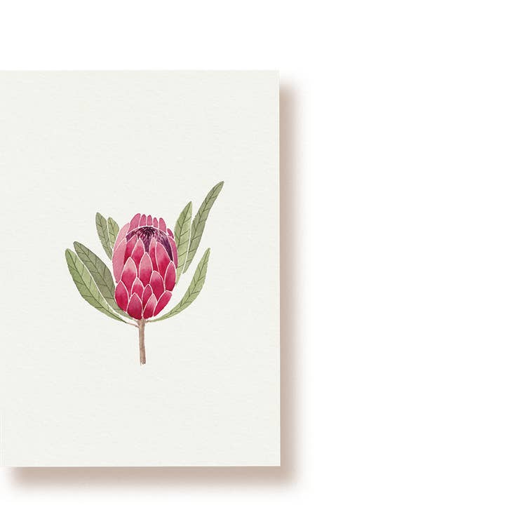 Protea | postal por atacado de tucán y limón