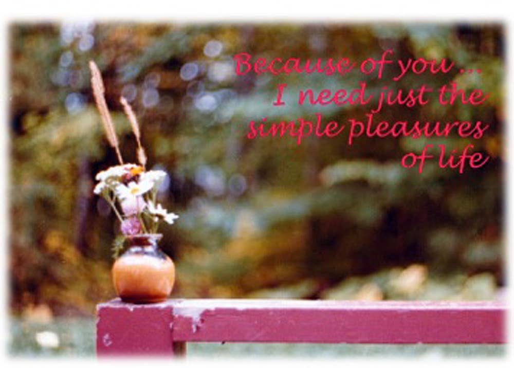 Just Write Arts - Wholesale Love Card - Simple Pleasures0