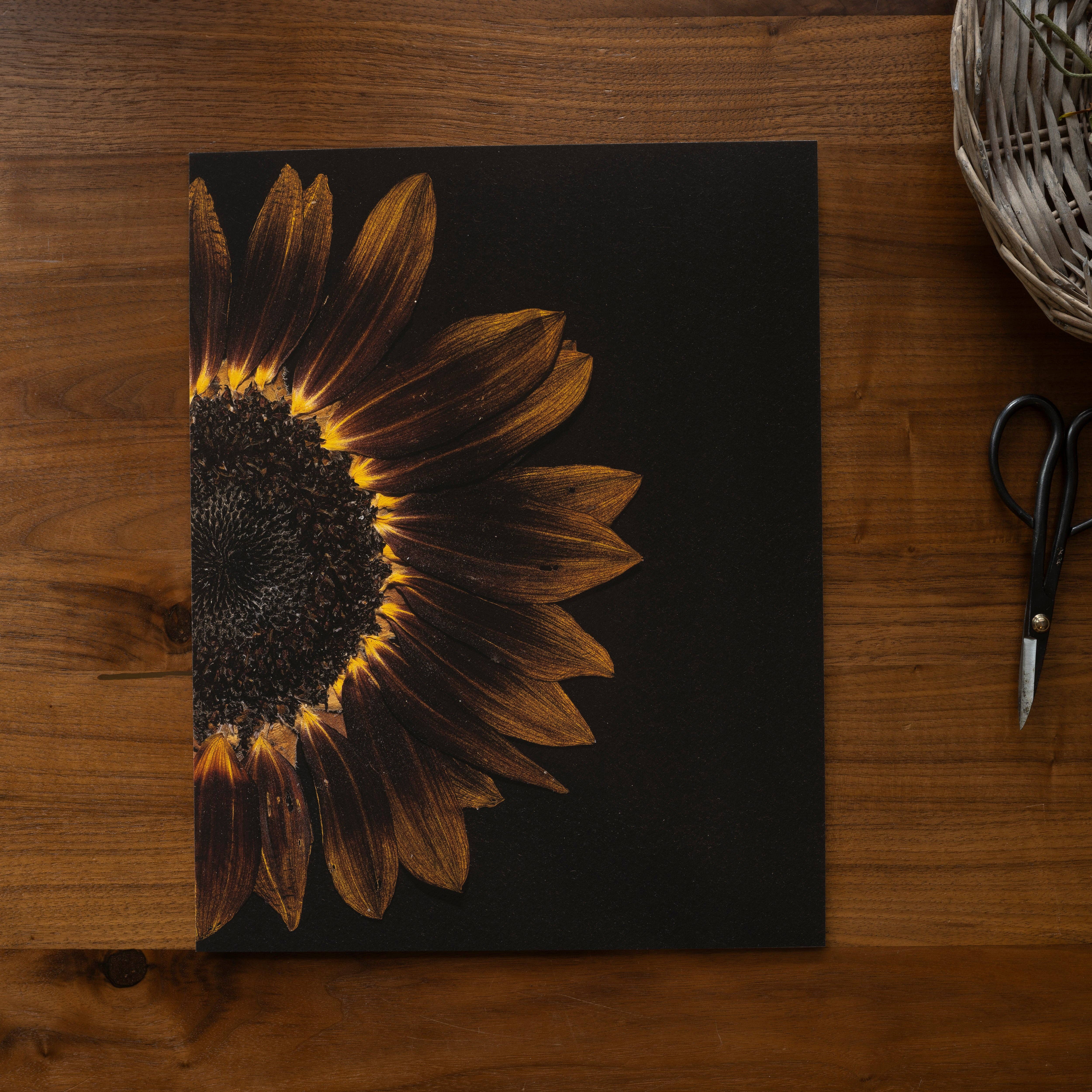 Hope Steinle Pressed Flower Art - Wholesale Art Print - Pressed Flower Fine Art Print - "Emberlight"2