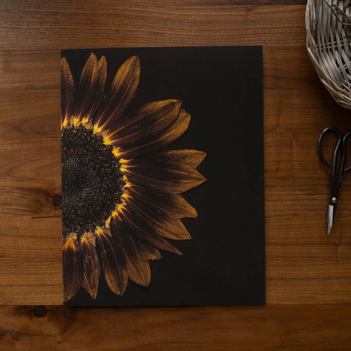 Hope Steinle Pressed Flower Art - Wholesale Art Print - Pressed Flower Fine Art Print - "Emberlight"2