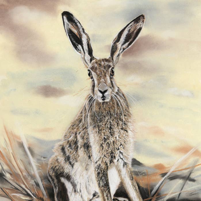 Tryck av originalpastell 'Sommarhare' för wholesale av Michelle Hewitt Wildlife Artist