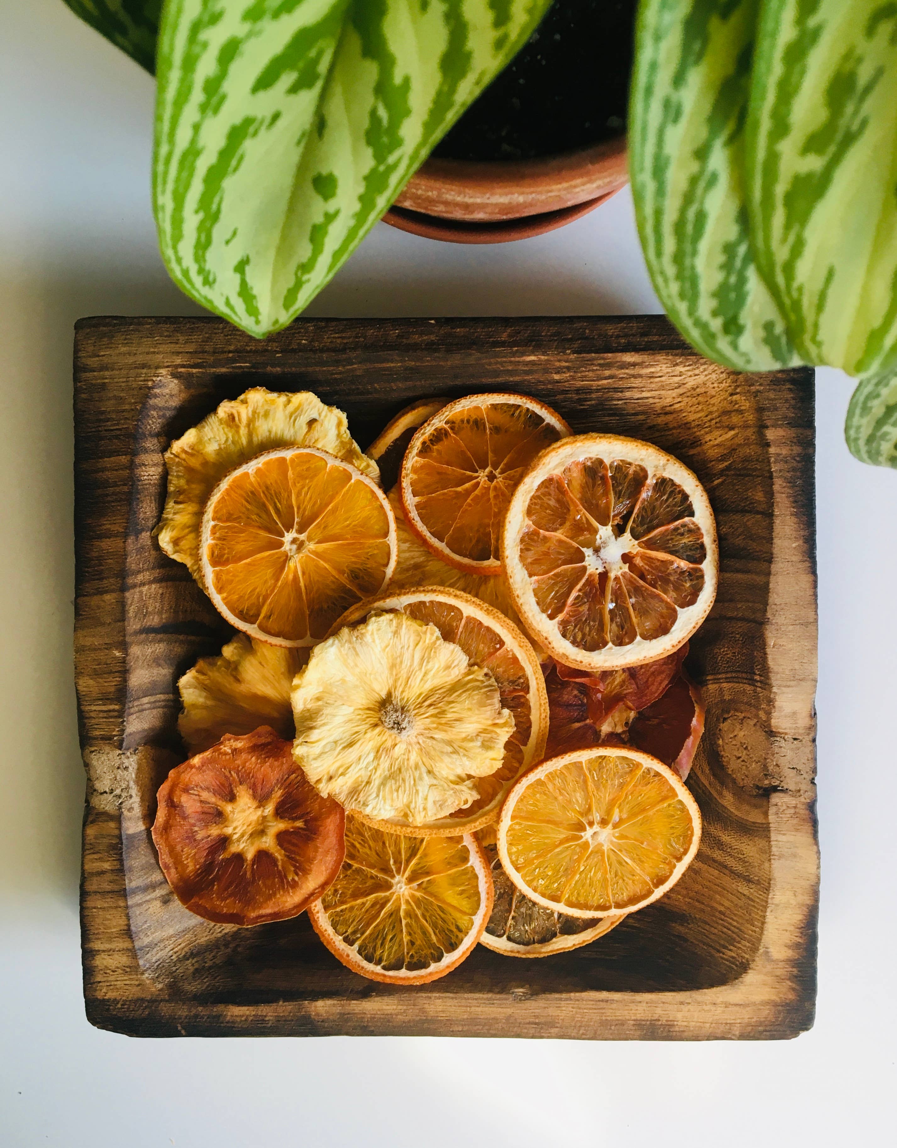 FreshDried – Fruta seca/desidratada por atacado – Rodelas de Laranja Secas Orgânicas6