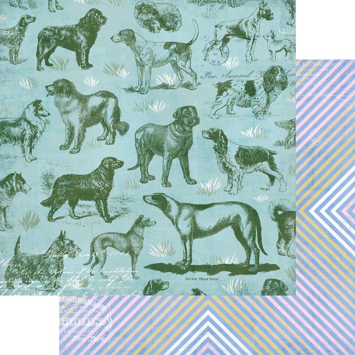 Spot & Oliver - Paper - Doggy Dog World for wholesale by Fancy Pants Designs
