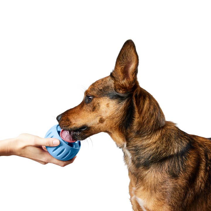 Woof - Wholesale Pet Toy - Dog - The Pupsicle - Wholesale Exclusive Color