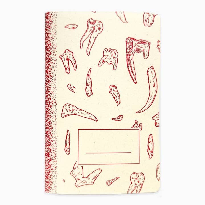 teeth specimen letterpress notebook for wholesale by Blackbird Letterpress