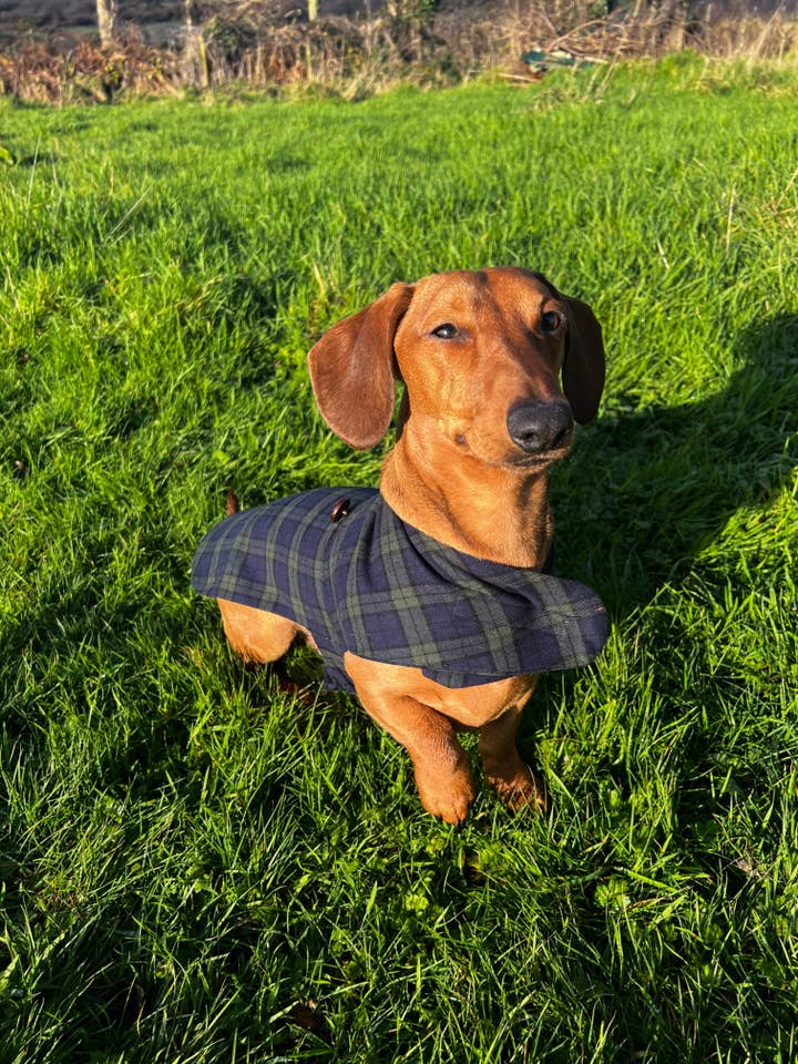 Lee Valley Flannel Dog Coat for wholesale by Lee Valley Ireland