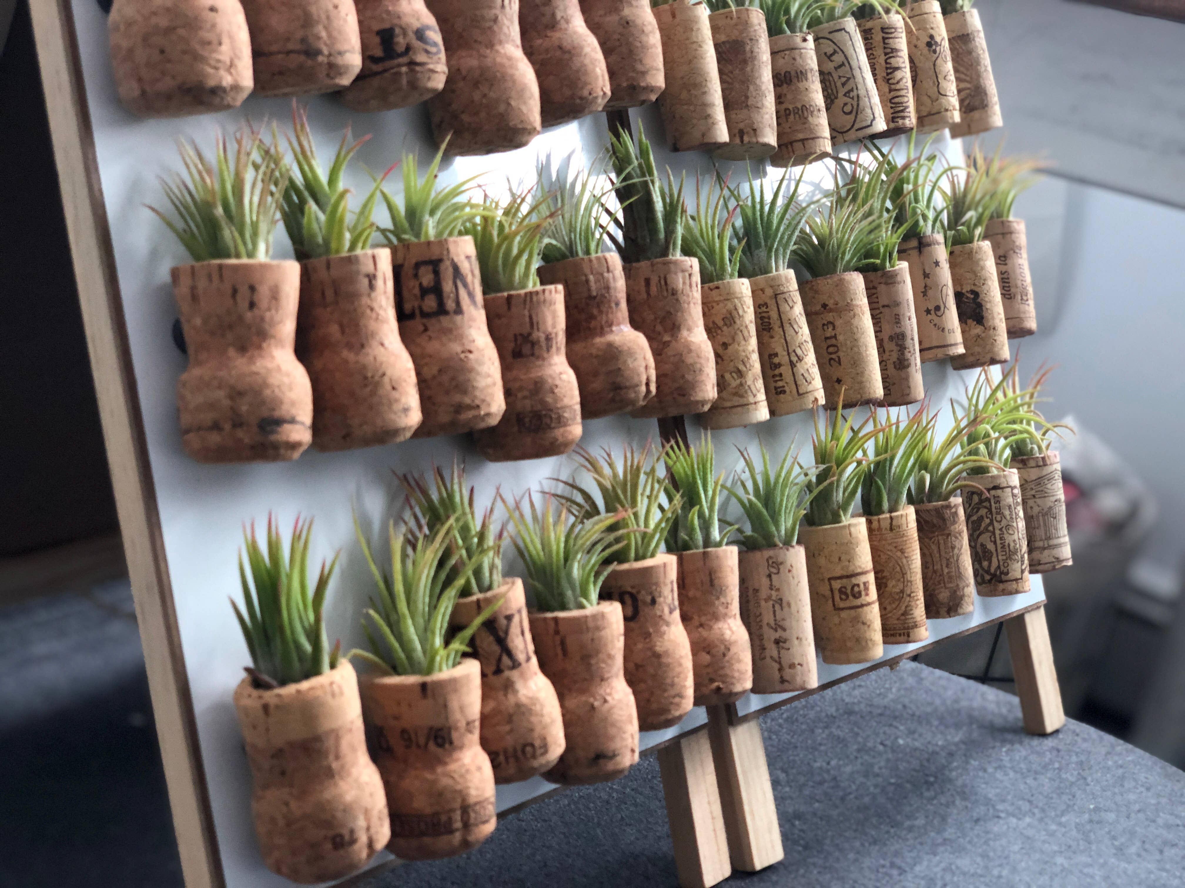 The Simply Crafty Shop - Wholesale Magnet - Magnetic Wine/ Champagne Cork Air Plant Holder12