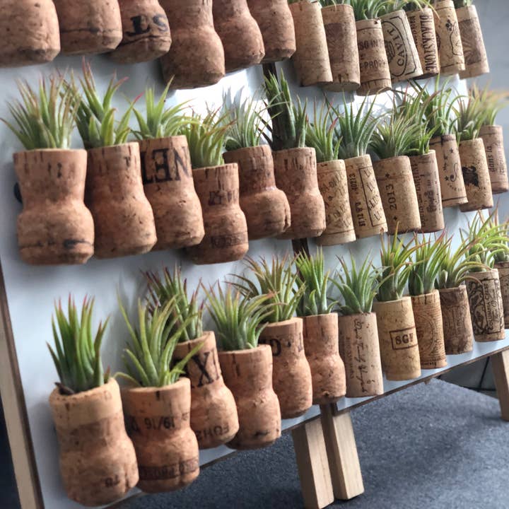 The Simply Crafty Shop - Wholesale Magnet - Magnetic Wine/ Champagne Cork Air Plant Holder12