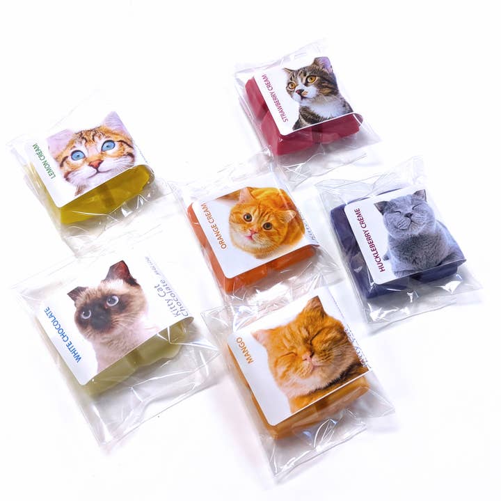 Holy Chocolate - Wholesale Chocolate Bar - Kitty Cat Candy - Variety POS - Mixed (42pc) - 1 Oz Bar