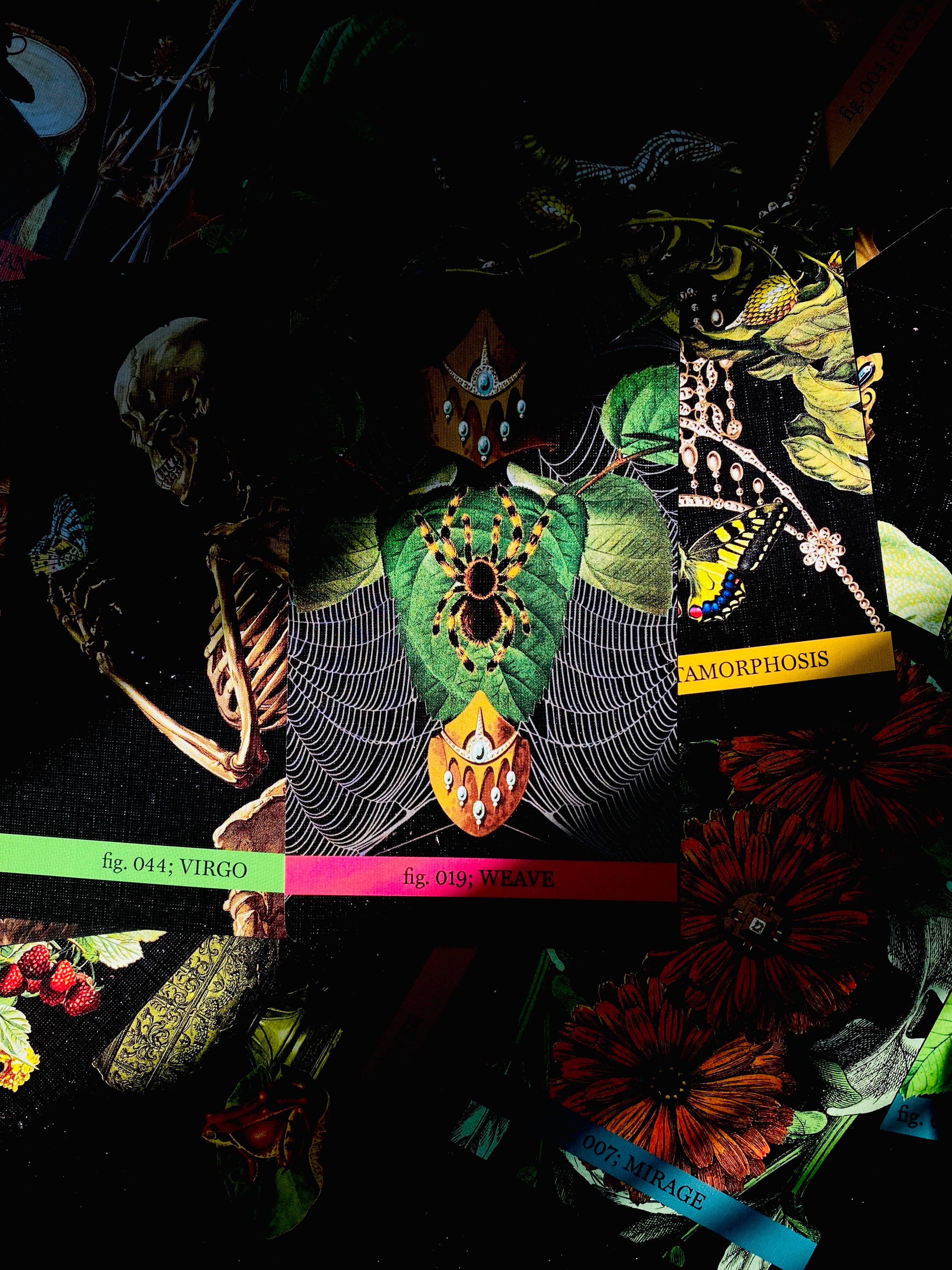 Cosmic Butcher - Vendita all'ingrosso Tarocchi - Mazzo Oracle e Lenormand «Eternal Gardens» | Indie Tarot Deck15