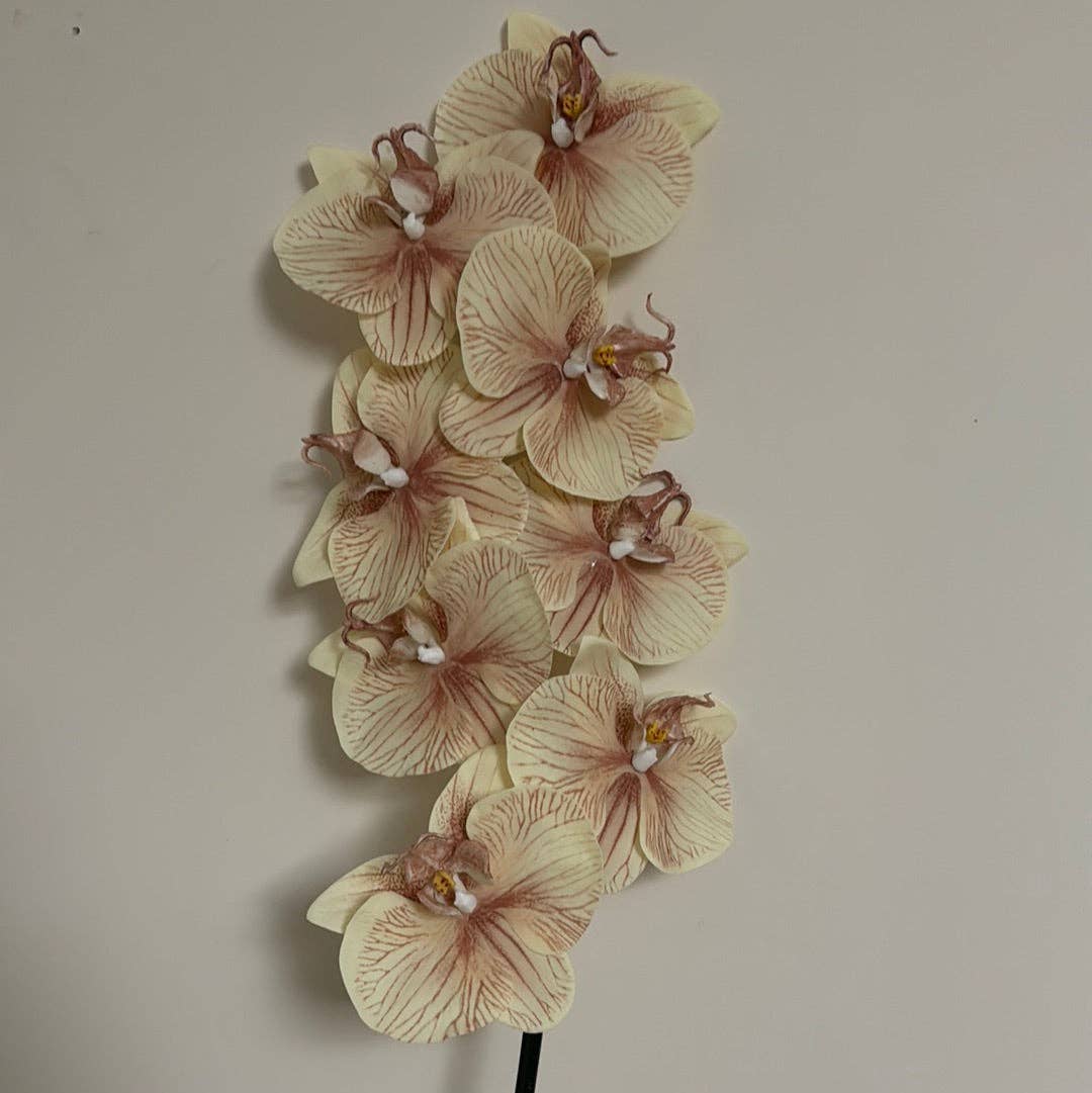 JKF & Co Pty Ltd - Wholesale Artificial Flowers - Real Touch Phalaenopsis Orchid Stem Ivory Mocha2