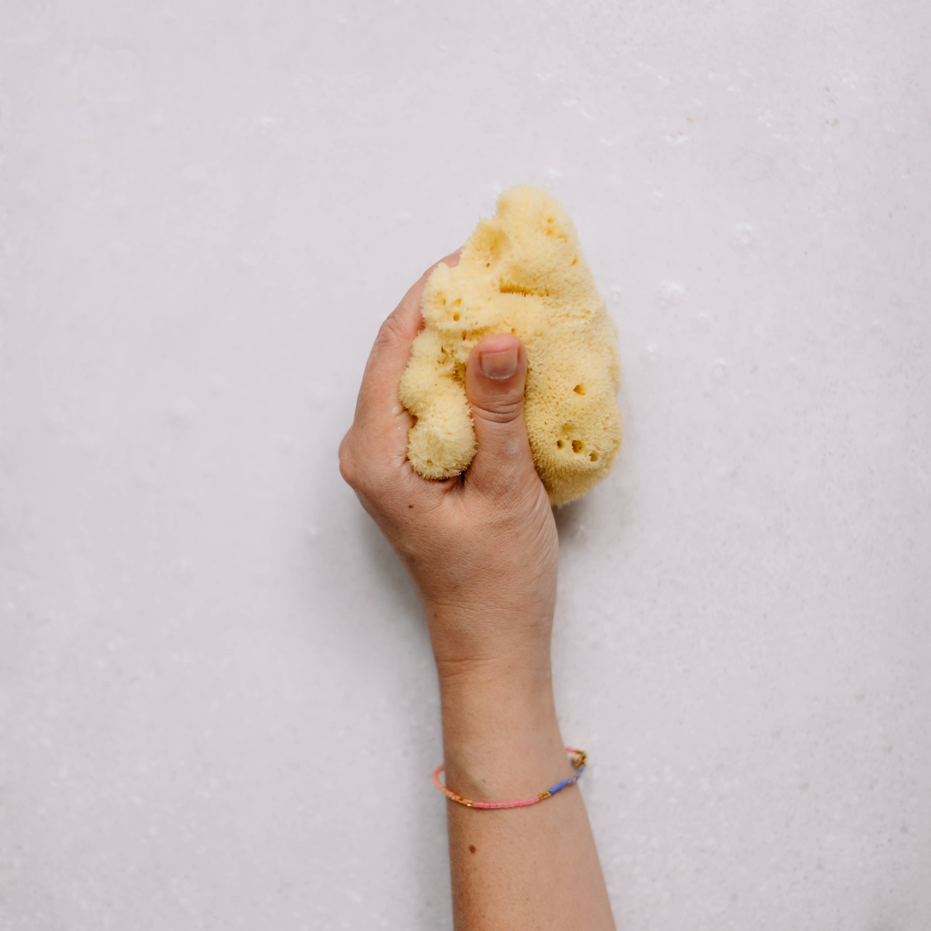 Croll & Denecke – wholesale Facial cleanser – Face sponge natural in gift box, spa sea5