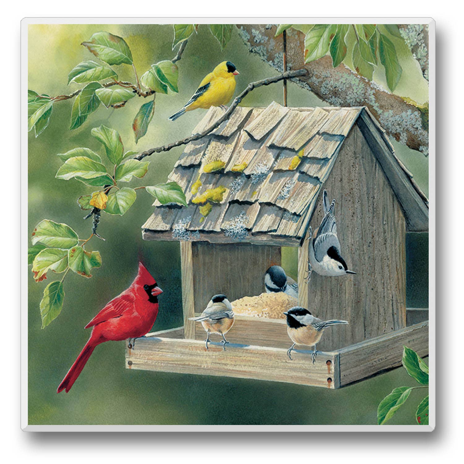 CounterArt/Highland Home/Thirstystone – Großhandel Verkaufsdisplay – Wohnen – Take Flight Einzeluntersetzer-Display, vorverpackt7