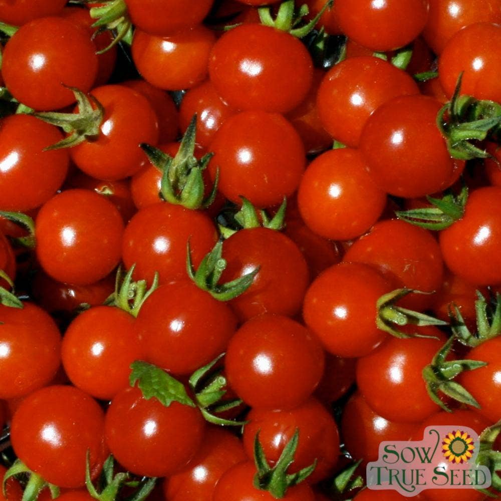 Sow True Seed - Vente Graines de plantes - Graines de tomates cerises - Cherry Sweetie, BIO3