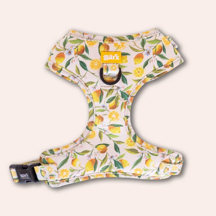 Imbracatura Regolabile | Limoncello per la vendita all'ingrosso da parte di Barx