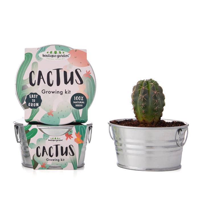 WIDDOP and Co. - Wholesale Plant Pot - **MULTI 3** Boutique Garden Succulent Plant Cactus