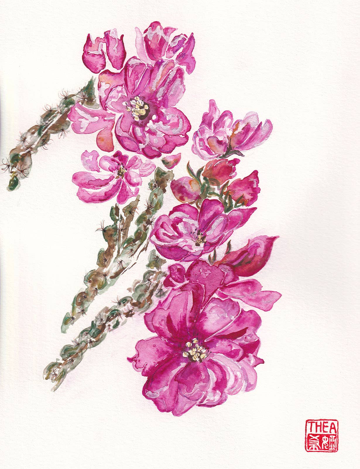 StudioThea.Co - Wholesale Everyday Greeting Card - Cholla Blossoms0