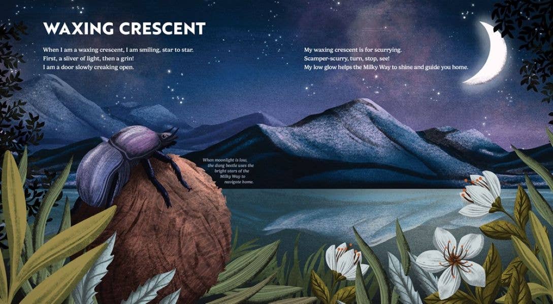 Gibbs Smith - Wholesale Nature & Outdoors Book - Wild Moon: How the Lunar Phases Light Up Our World3