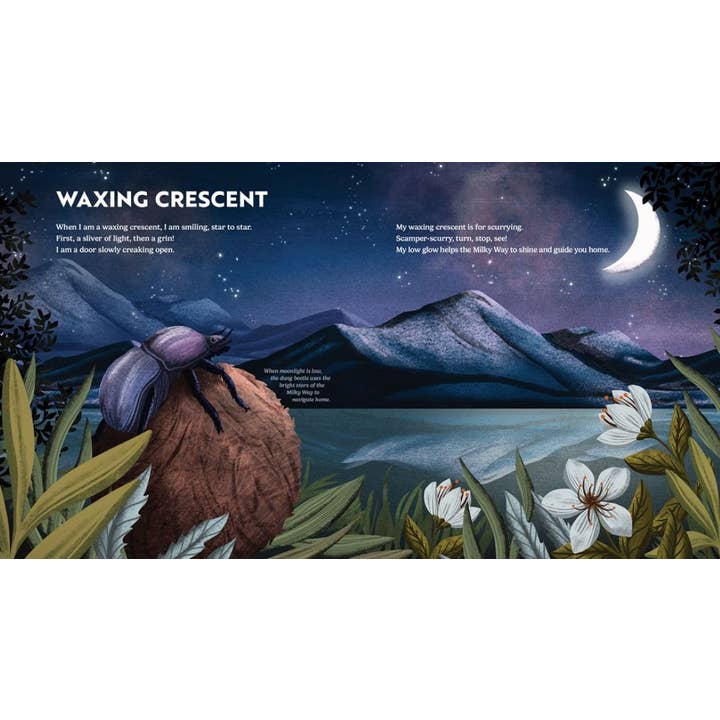 Gibbs Smith - Wholesale Nature & Outdoors Book - Wild Moon: How the Lunar Phases Light Up Our World3