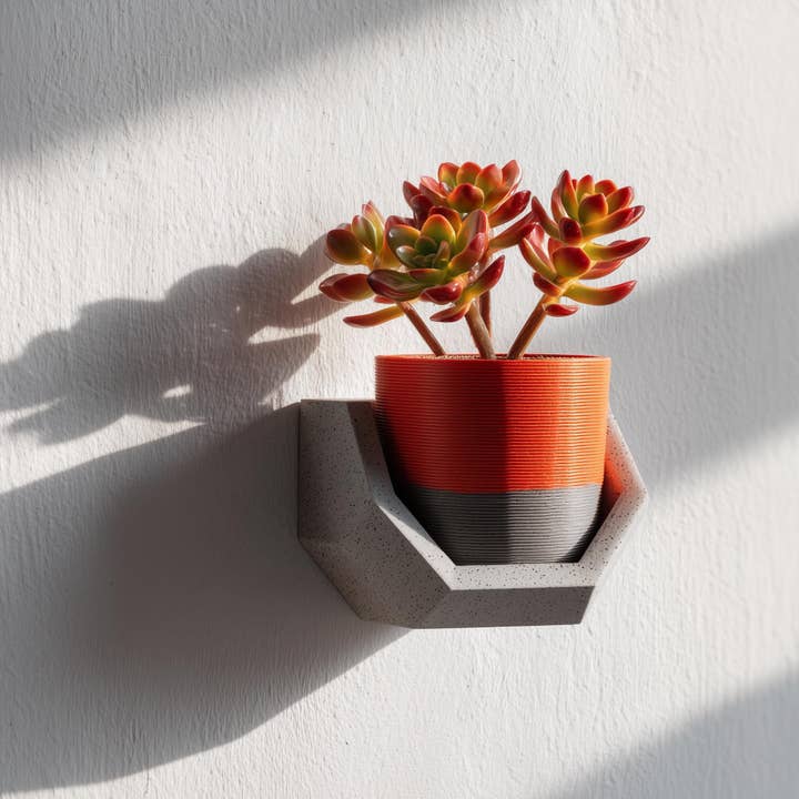 3D-printet hylde | Væghyldeholder | Moderne flydende plantehylde | Minimalistisk dekorativ hylde | Unikt indslag til hjemmet | Geometrisk vægdekoration for engroshandel hos Decords