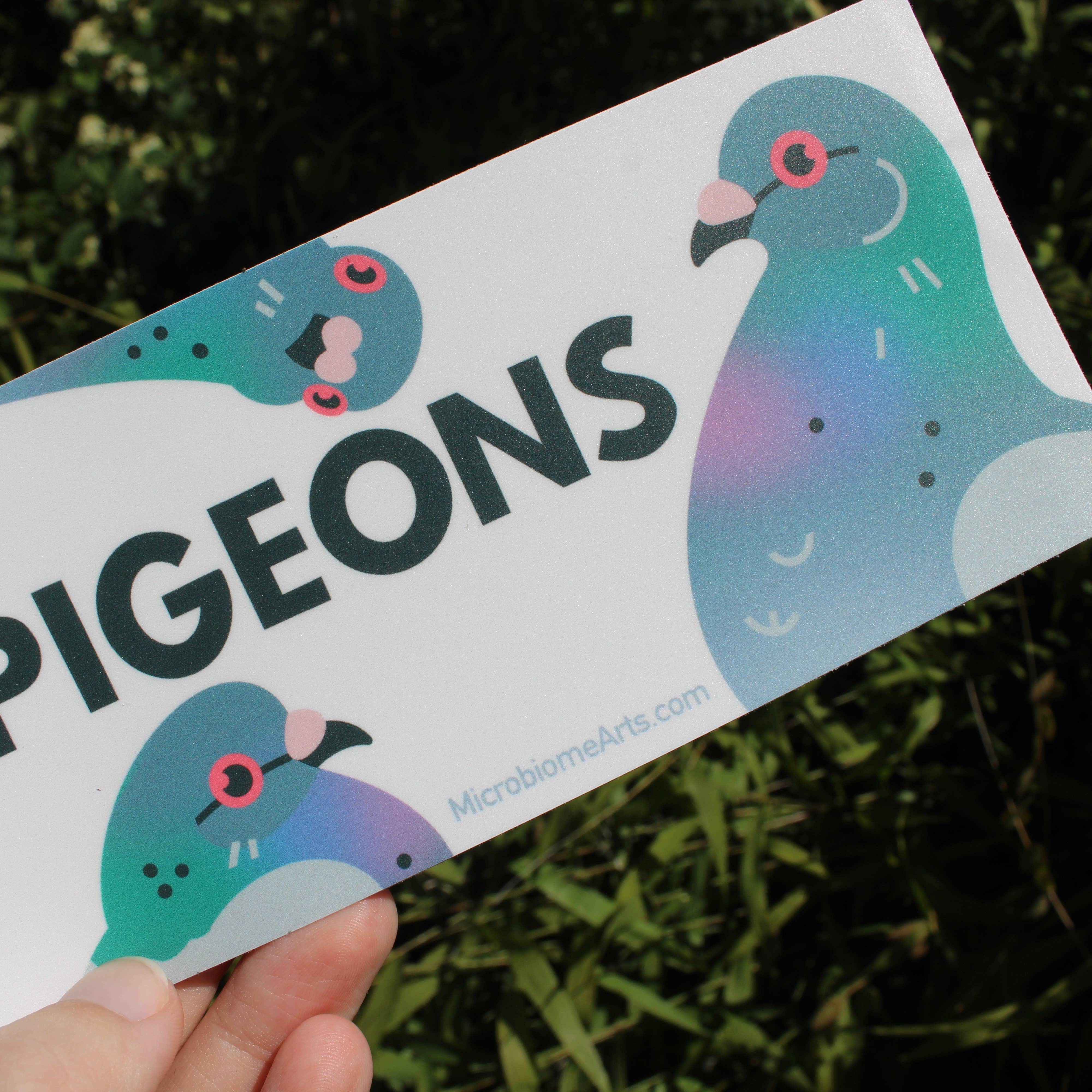 Microbiome Arts - Wholesale Sticker - I Love Pigeons Bumper Sticker2