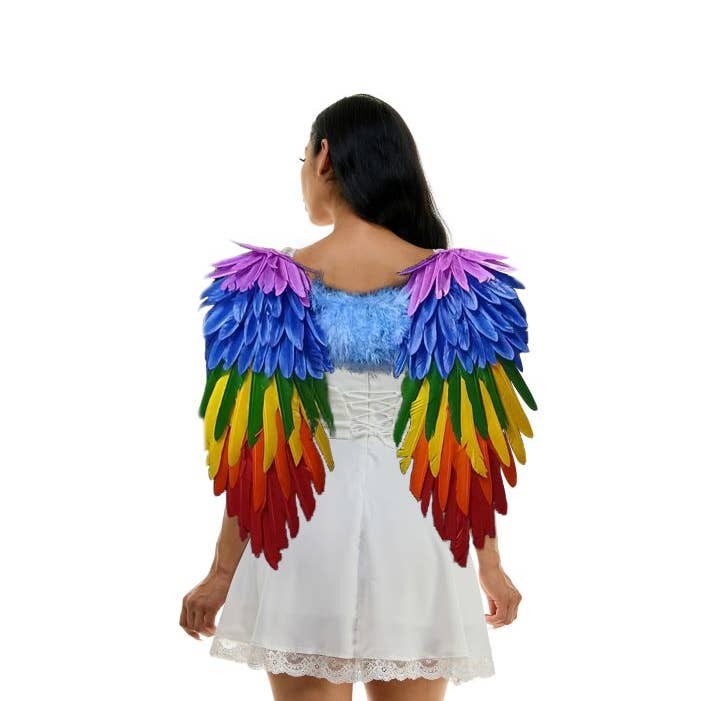 Rainbow Feather Angel Wings for wholesale by KBW Global Corp.