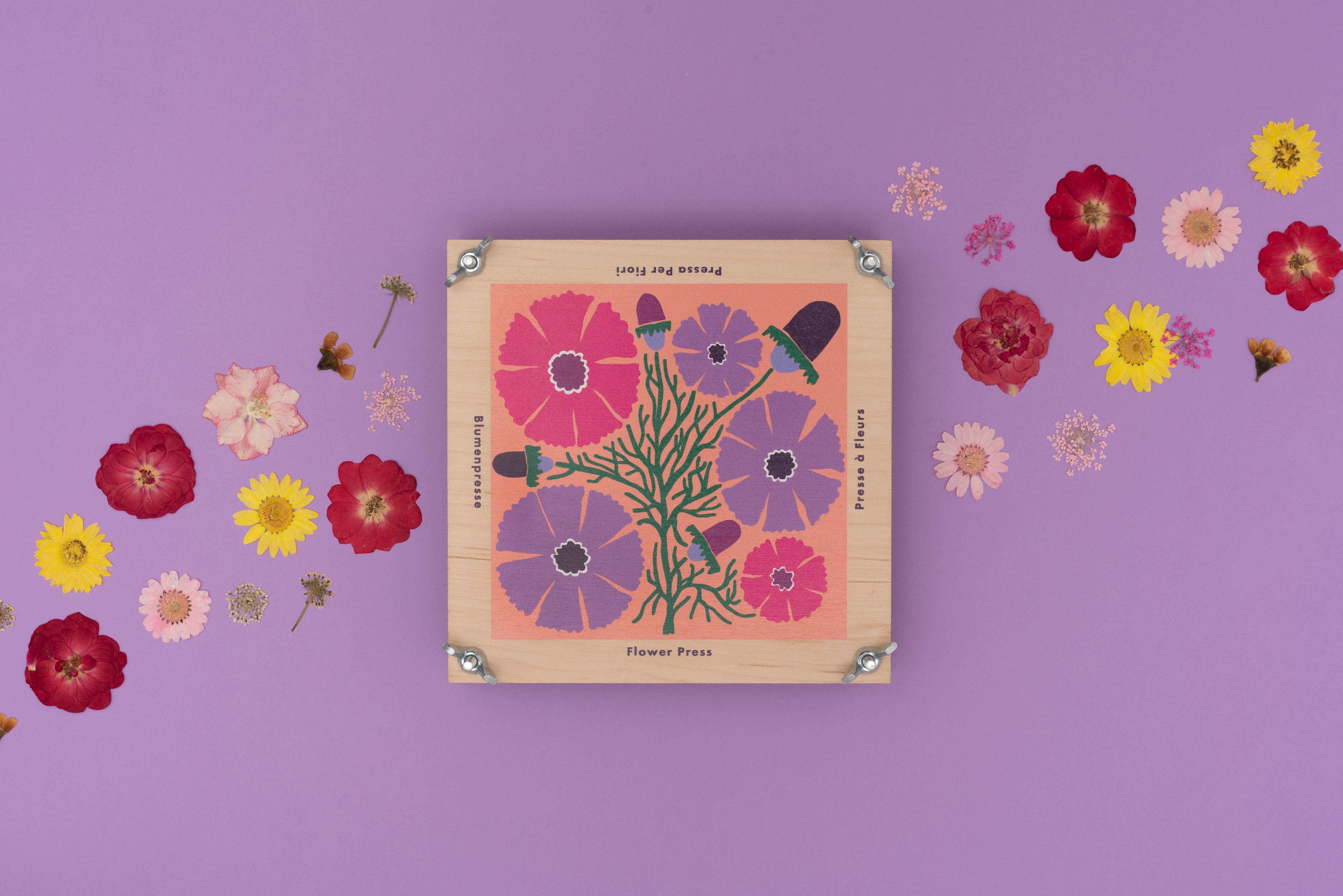 Studio Wald - UK Made - Wholesale DIY Craft Kit - Flower Press - Cosmos5