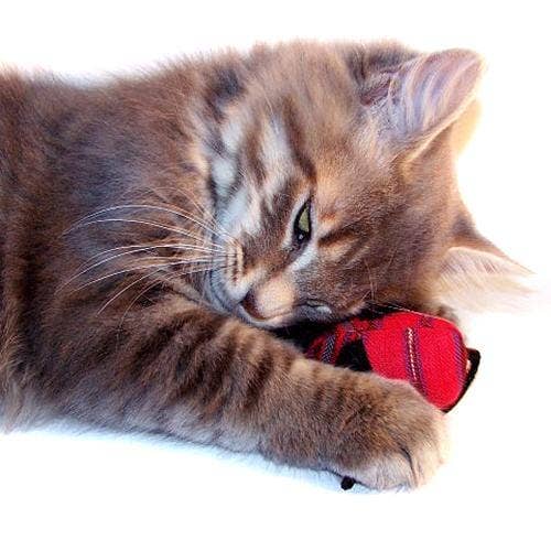 Upavim Crafts - Wholesale Pet Toy - Cat - Organic Catnip Mice2