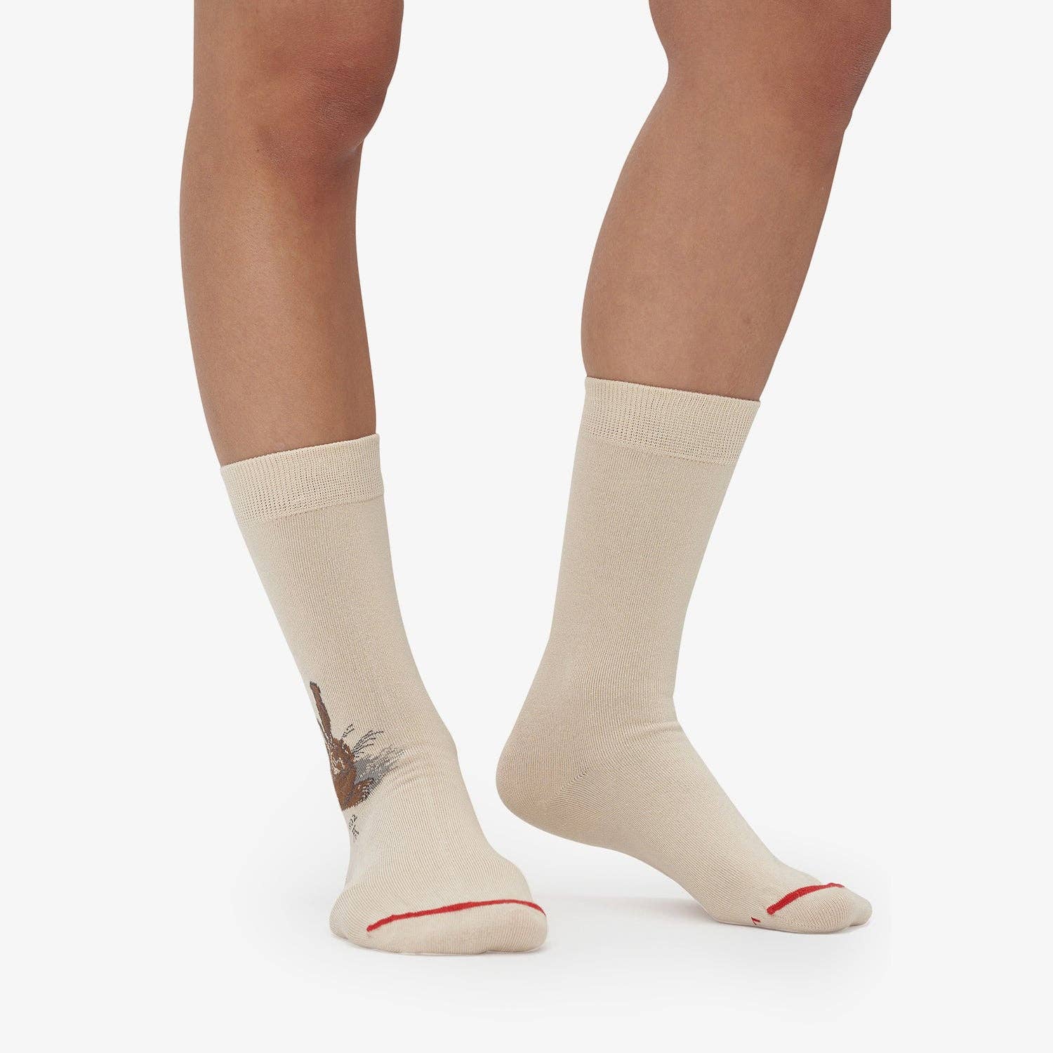 MuseARTa GmbH - Wholesale Sokken - Uniseks - Albrecht Dürer - Jonge haas1